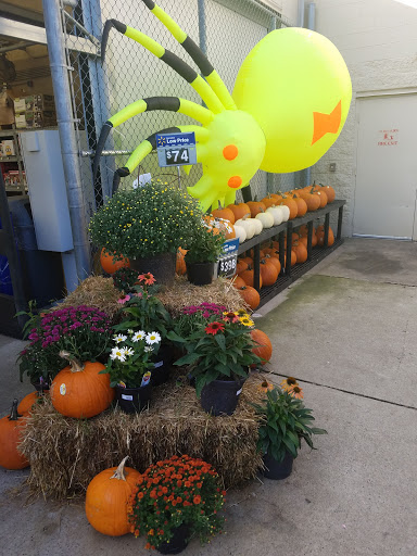 Department Store «Walmart Supercenter», reviews and photos, 217 Garrisonville Rd, Stafford, VA 22554, USA