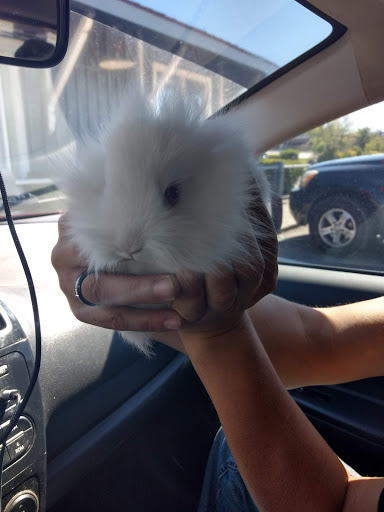 Pet Supply Store «Coastline Pet Supply», reviews and photos, 3530 Northgate Dr, Myrtle Beach, SC 29588, USA