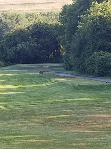 Golf Course «Whaling City Golf Course», reviews and photos, 581 Hathaway Rd, New Bedford, MA 02740, USA