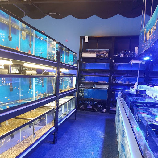Pet Store «Tanks A Lot Aquariums», reviews and photos, 6680 Lantana Rd, Lake Worth, FL 33467, USA