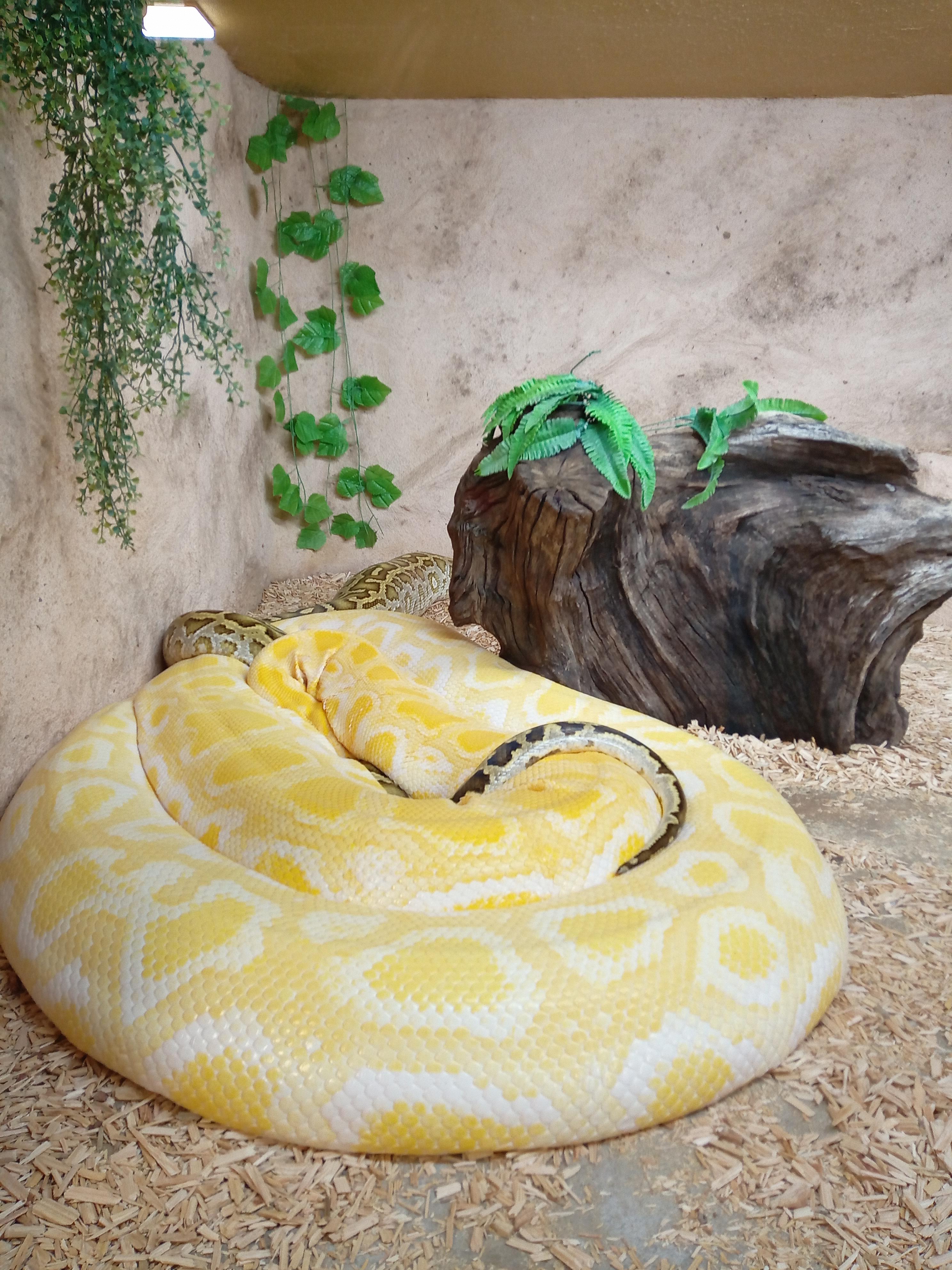 Photo n° 2 de l'avis de Fabie.o fait le 06/08/2023 à 19:12