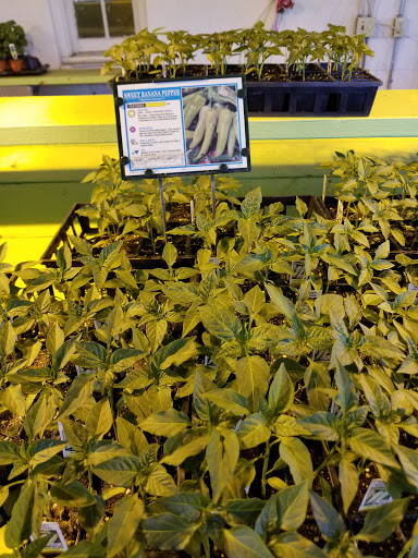 Florist «Lyndhurst Florist», reviews and photos, 5268 Mayfield Rd, Lyndhurst, OH 44124, USA