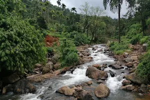 Abbikolli Falls image