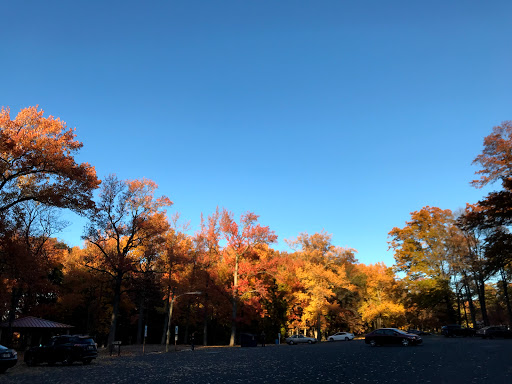 Park «Merrill Park», reviews and photos, Fairview Ave, Colonia, NJ 07067, USA
