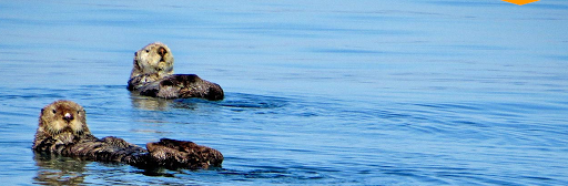 Travel Agency «Cruise Planners - The Cornerstone Travel Agency LLC», reviews and photos, 3020 NE 41st Terrace #314, Homestead, FL 33033, USA