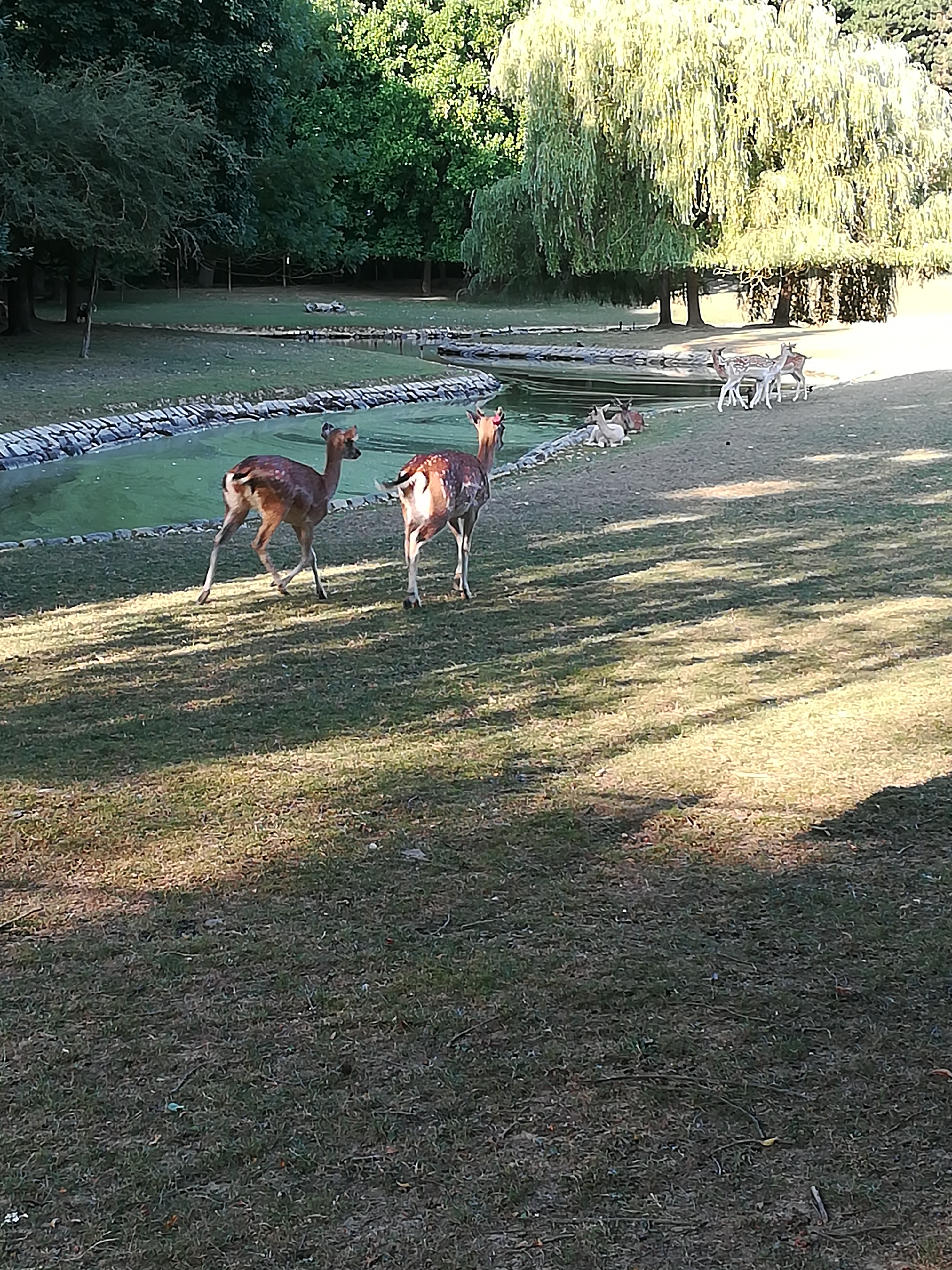 Photo n° 1 de l'avis de Damien.i fait le 19/07/2018 à 16:07