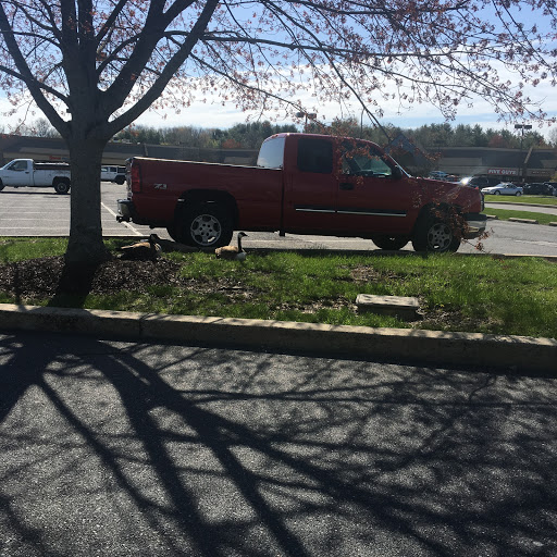 Grocery Store «ACME Markets», reviews and photos, 128 Lantana Dr, Hockessin, DE 19707, USA