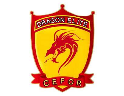 Escuela de Futbol Dragon Elite