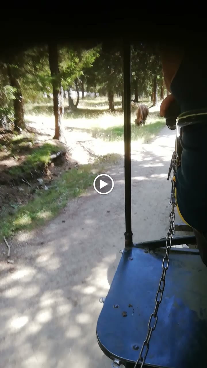 Photo n° 2 de l'avis de Jean-luc.E fait le 27/08/2023 à 20:07