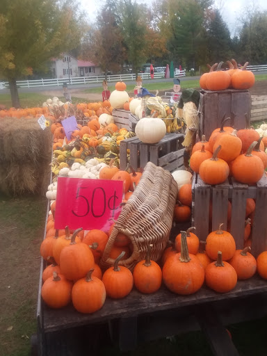 Produce Market «Rush Vegetables», reviews and photos, 2120 Eagle Harbor Waterport Rd, Albion, NY 14411, USA
