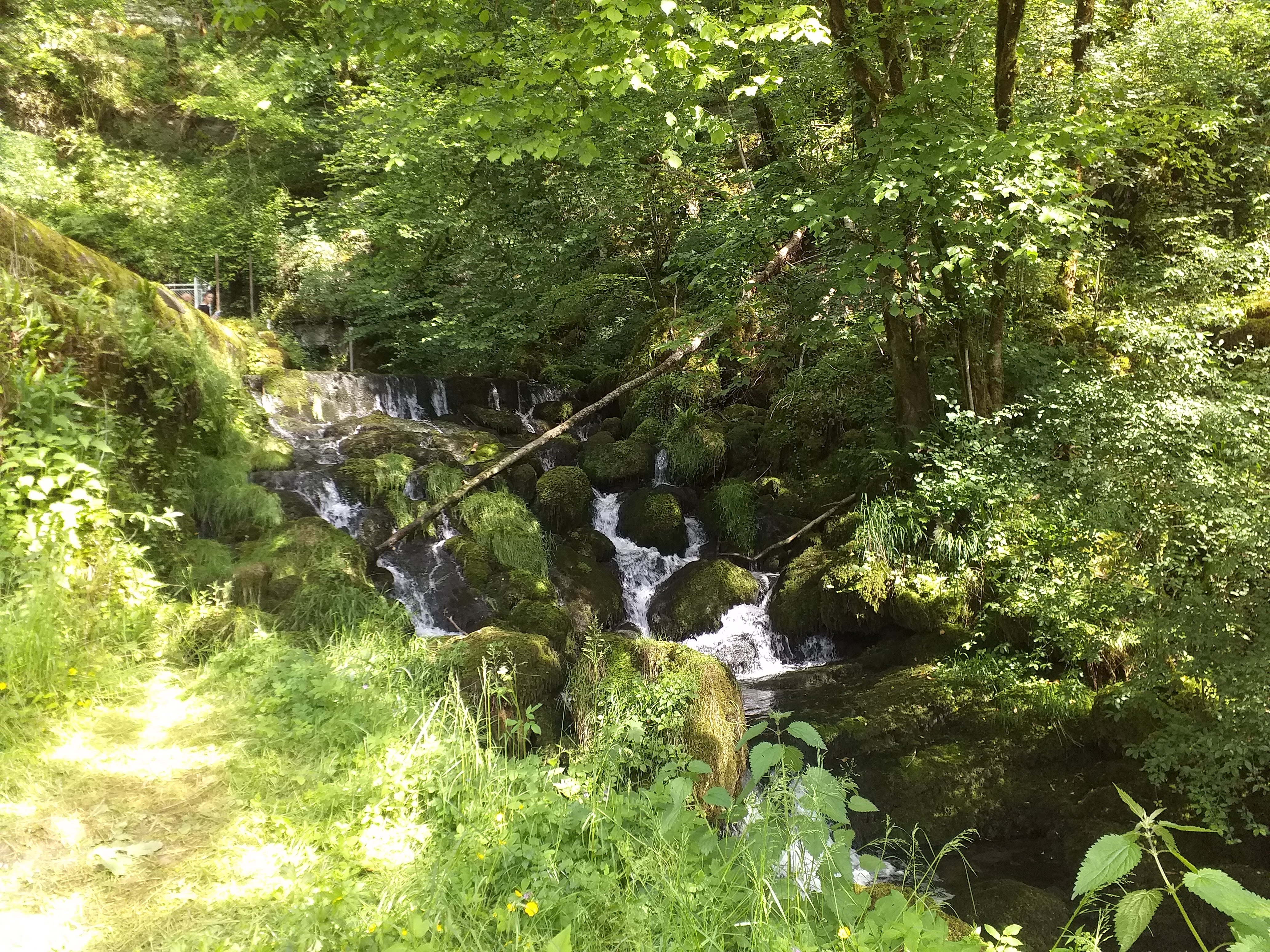 Photo n° 4 de l'avis de SYLVIE.A fait le 17/06/2020 à 18:38
