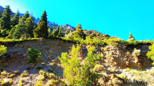 Park «Timpanogos Cave National Monument», reviews and photos, 2038 Alpine Loop Rd, American Fork, UT 84003, USA