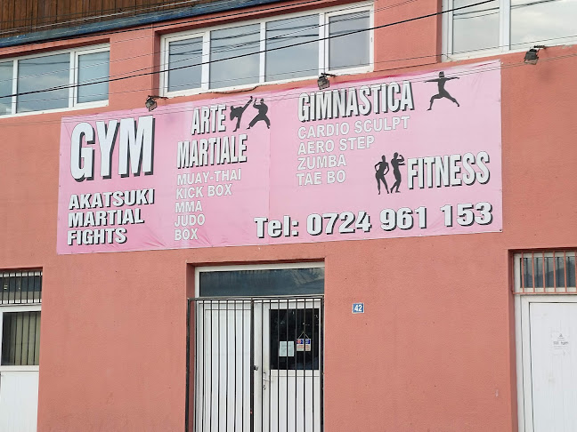 Tonic Gym Pantelimon - Sala de Fitness