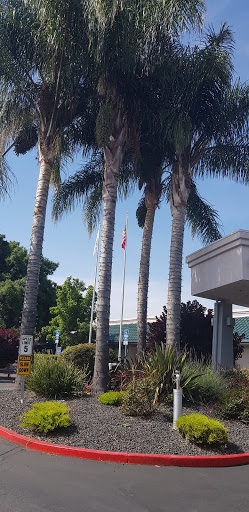 Holiday Inn Dublin-Pleasanton, an IHG Hotel image