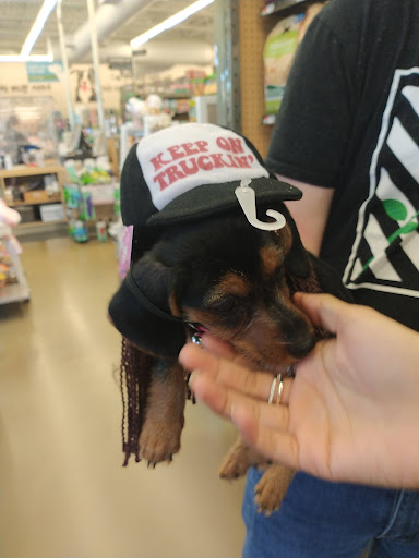 Pet Supply Store «Pet Supplies Plus», reviews and photos, 1030 Main St #10, Waltham, MA 02451, USA