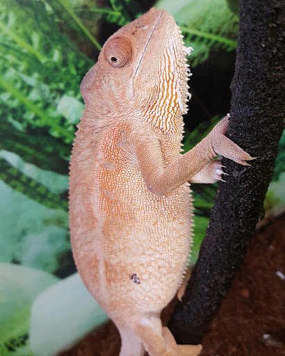 Pet Supply Store «Petco Animal Supplies», reviews and photos, 280 Kensington Blvd, Slidell, LA 70458, USA