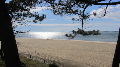 Chasseur immobilier Gironde (33) Bassin d'Arcachon à Gujan-Mestras