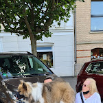 Photo n°1 de l'avis de Thomas.u fait le 05/09/2021 à 14:27 sur le  Bellevue Rheinhotel à Boppard