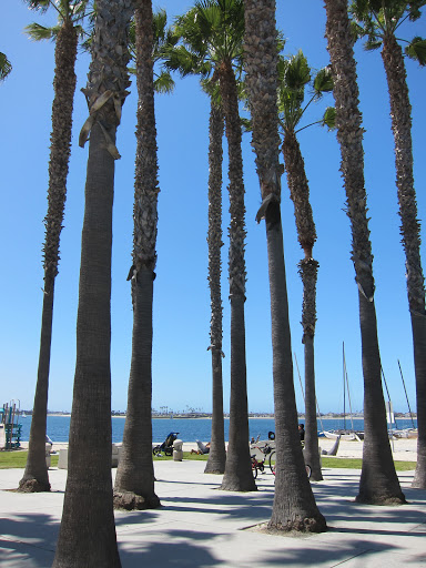 Park «Fanuel Street Park», reviews and photos, 4000 Fanuel St, San Diego, CA 92109, USA