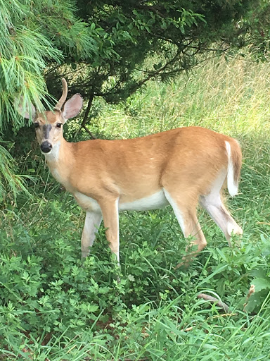 Golf Course «Charleston Springs Golf Course», reviews and photos, 101 Woodville Rd, Millstone, NJ 08510, USA