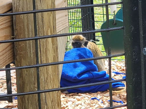 Zoo «Trowbridge Creek Zoo», reviews and photos, 50622 Co Rd 17, Vergas, MN 56587, USA