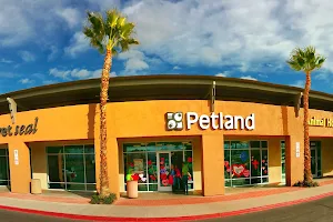 Petland Las Vegas image