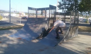 Downtown Napa Skateboard Park - photo 4