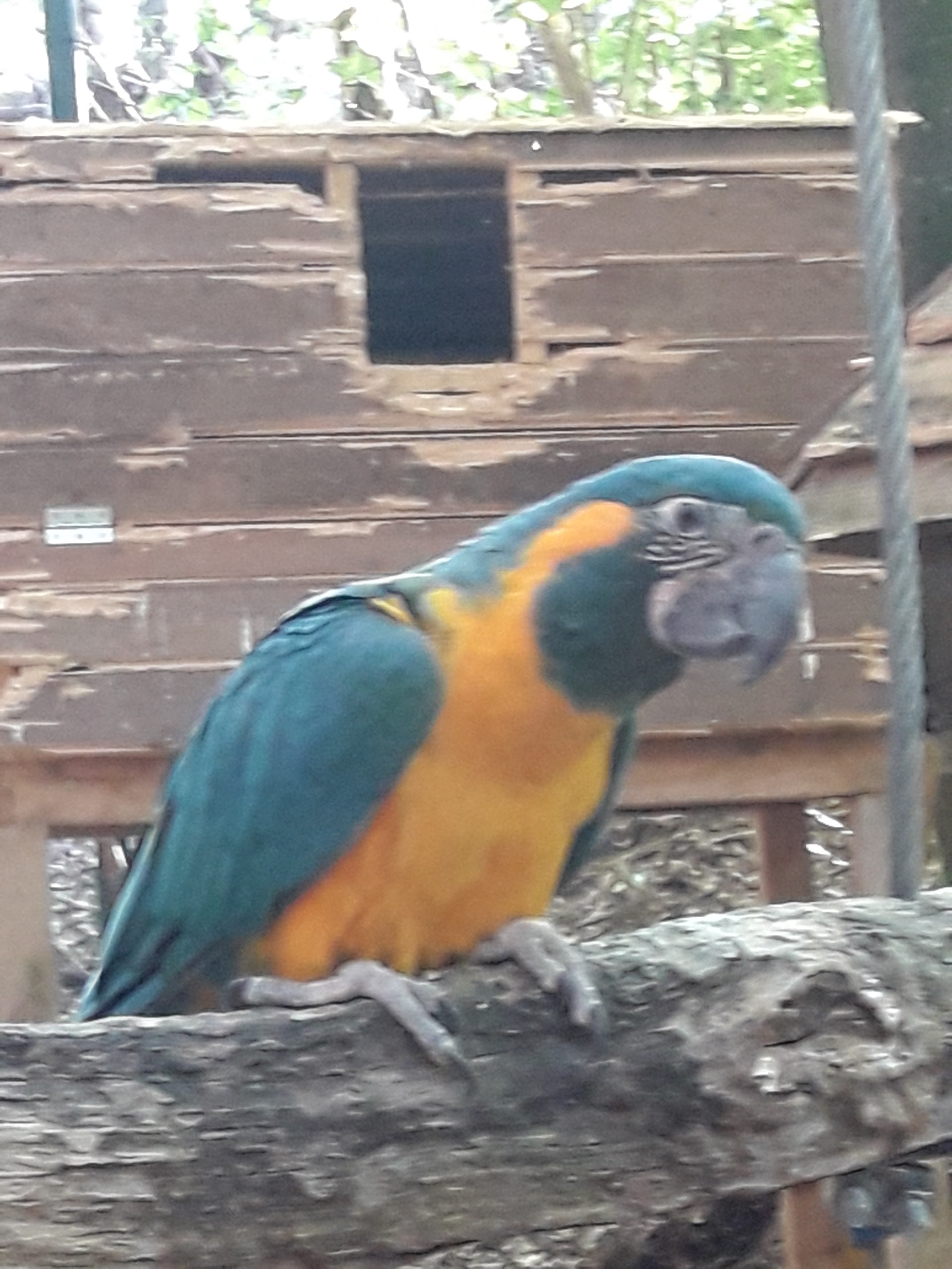 Photo n° 20 de l'avis de Christophe.l fait le 01/07/2018 à 13:30