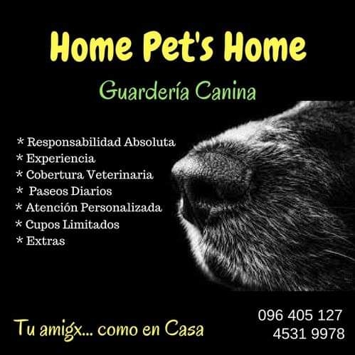 Comentarios y opiniones de Home Pet's Home - Guardería