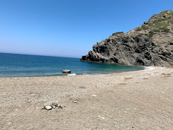 Gonsuz Koyu'in fotoğrafı vahşi alan