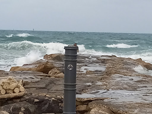 Federal Mall, 2721 US-1, Fort Pierce, FL 34982, USA, 