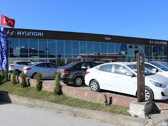 Hyundai Odak Yetkili Bayi