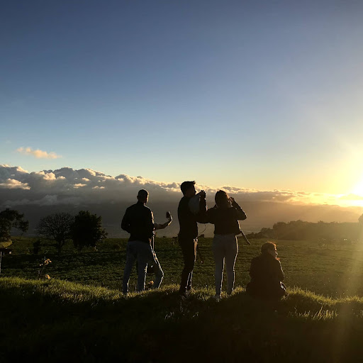 Department Store «JCPenney», reviews and photos, 2000 NJ-38 #1000, Cherry Hill, NJ 08002, USA