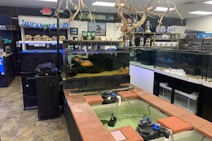 Discount Aquarium Fish and Reef image