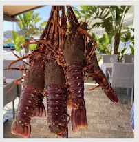 Photos du propriétaire du Restaurant EQUINOXE à Saint-Jean-Cap-Ferrat - n°10