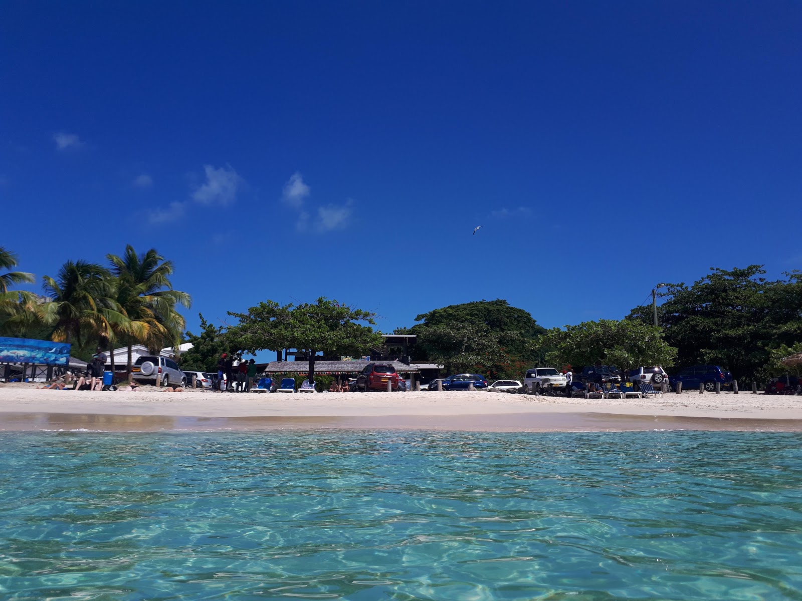 Valokuva Grand Anse beachista. - suosittu paikka rentoutumisen tuntijoille