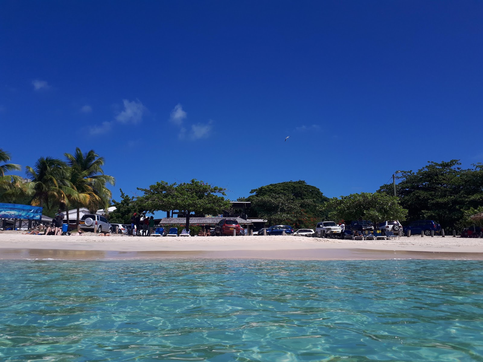 Fotografie cu Grand Anse beach - recomandat pentru călătorii în familie cu copii