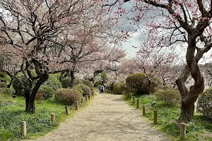 Kairakuen Main Garden image