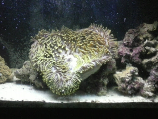 Pet Store «Tanks Pet Supply», reviews and photos, 628 S Main St, Princeton, IL 61356, USA