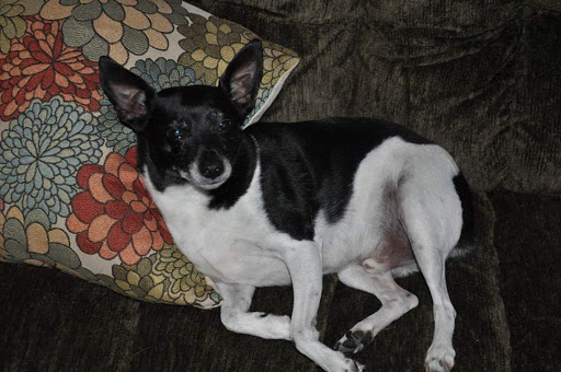 141 Greenfield Rd, South Deerfield, MA 01373, USA