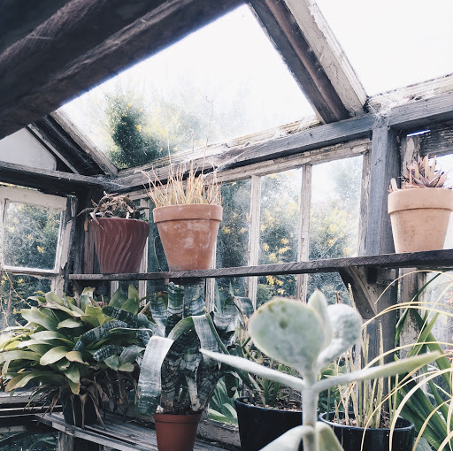 Gift Shop «GENERAL STORE», reviews and photos, 4035 Judah St, San Francisco, CA 94122, USA