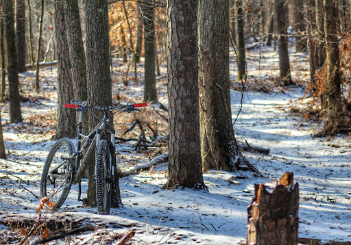 Park «Big Creek Park», reviews and photos, 1600 Old Alabama Rd, Roswell, GA 30076, USA