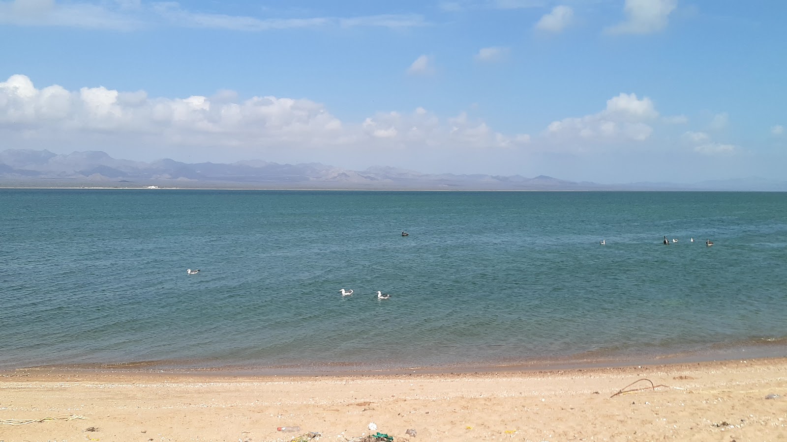 Zdjęcie Playa Chueca z powierzchnią niebieska czysta woda