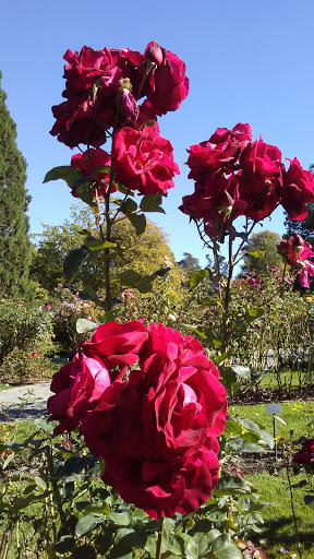 Park «Marine View Park», reviews and photos, 20945 Marine View Dr SW, Normandy Park, WA 98166, USA