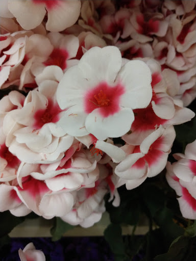 Craft Store «Hobby Lobby», reviews and photos, 11 W 39th St, Kearney, NE 68847, USA