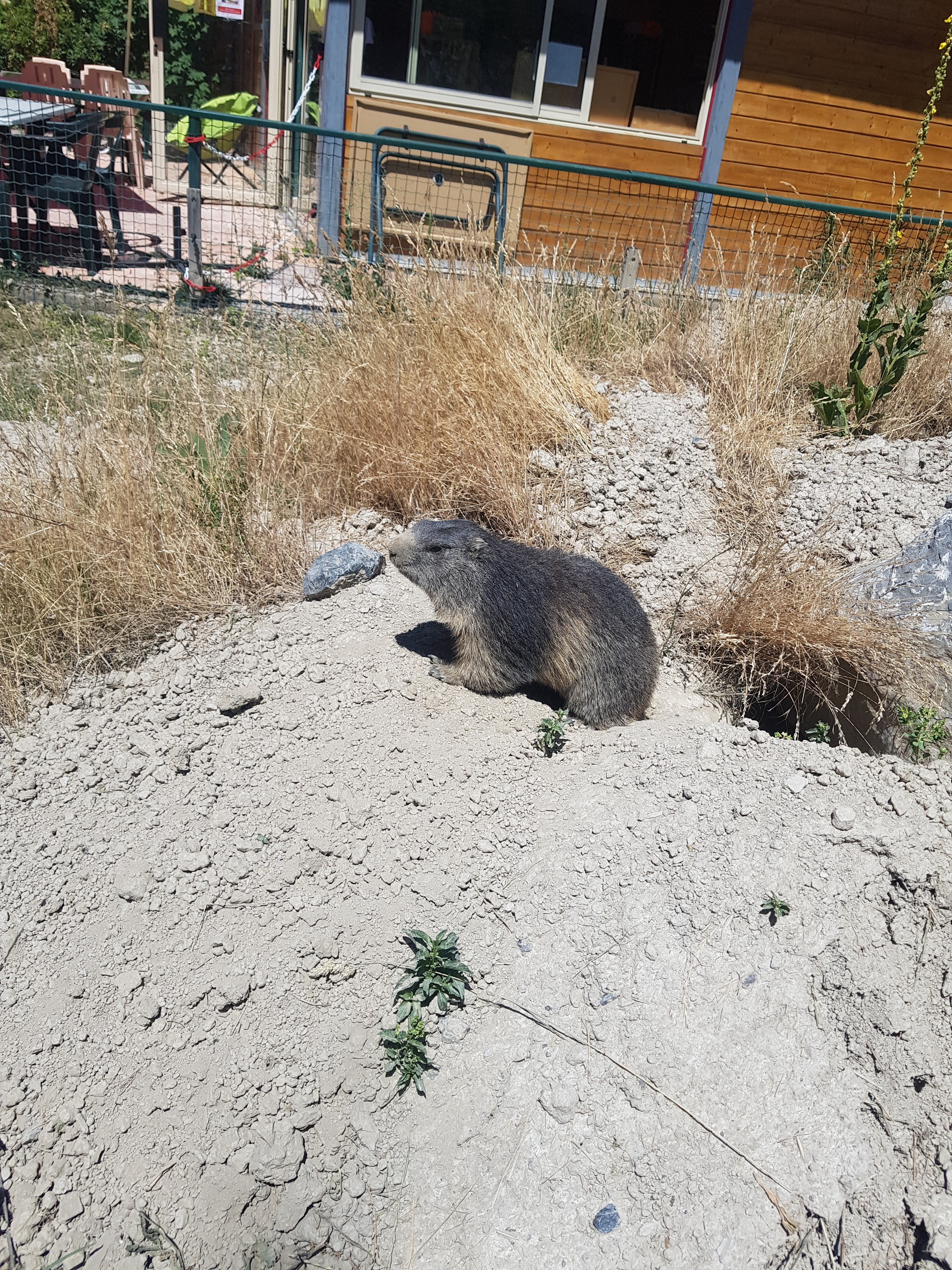 Photo n° 3 de l'avis de ROMAIN.A fait le 14/07/2022 à 16:35