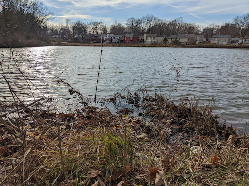 Dickinson Park Pond
