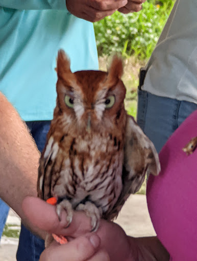 Park «Hammock Park», reviews and photos, 1945 San Mateo Dr, Dunedin, FL 34698, USA