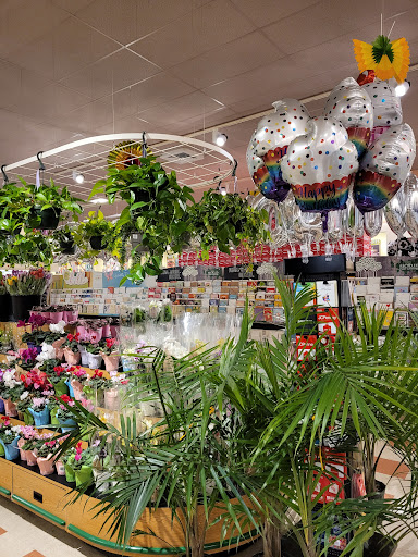 Grocery Store «Market Basket», reviews and photos, 352 W Center St, West Bridgewater, MA 02378, USA