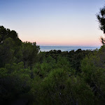 Photo n°4 de l'avis de Marcin.r fait le 15/09/2019 à 13:36 sur le  Hotel Rosa Del Tirreno à Livorno